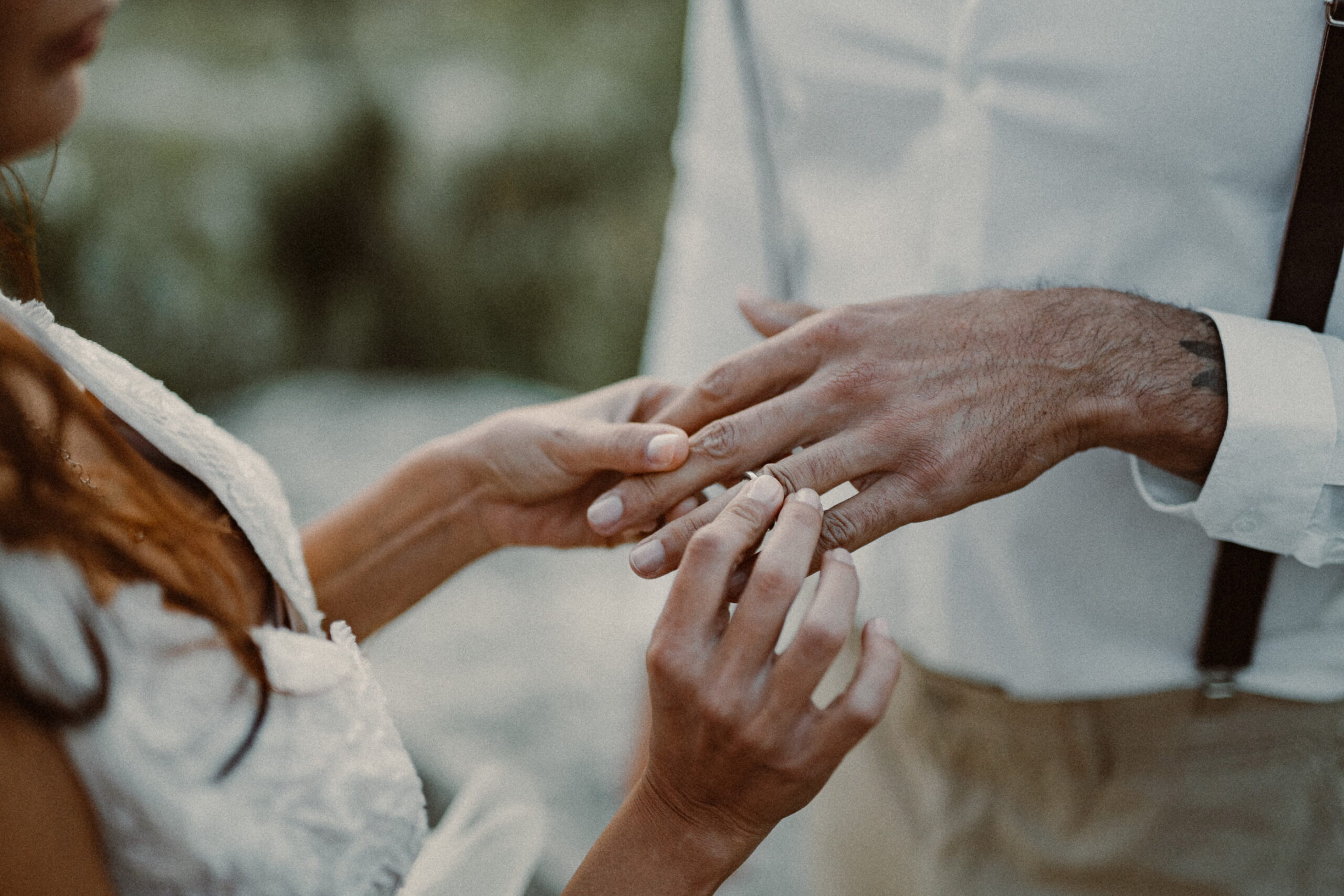 albedo realizzazione partecipazione di matrimonio terra