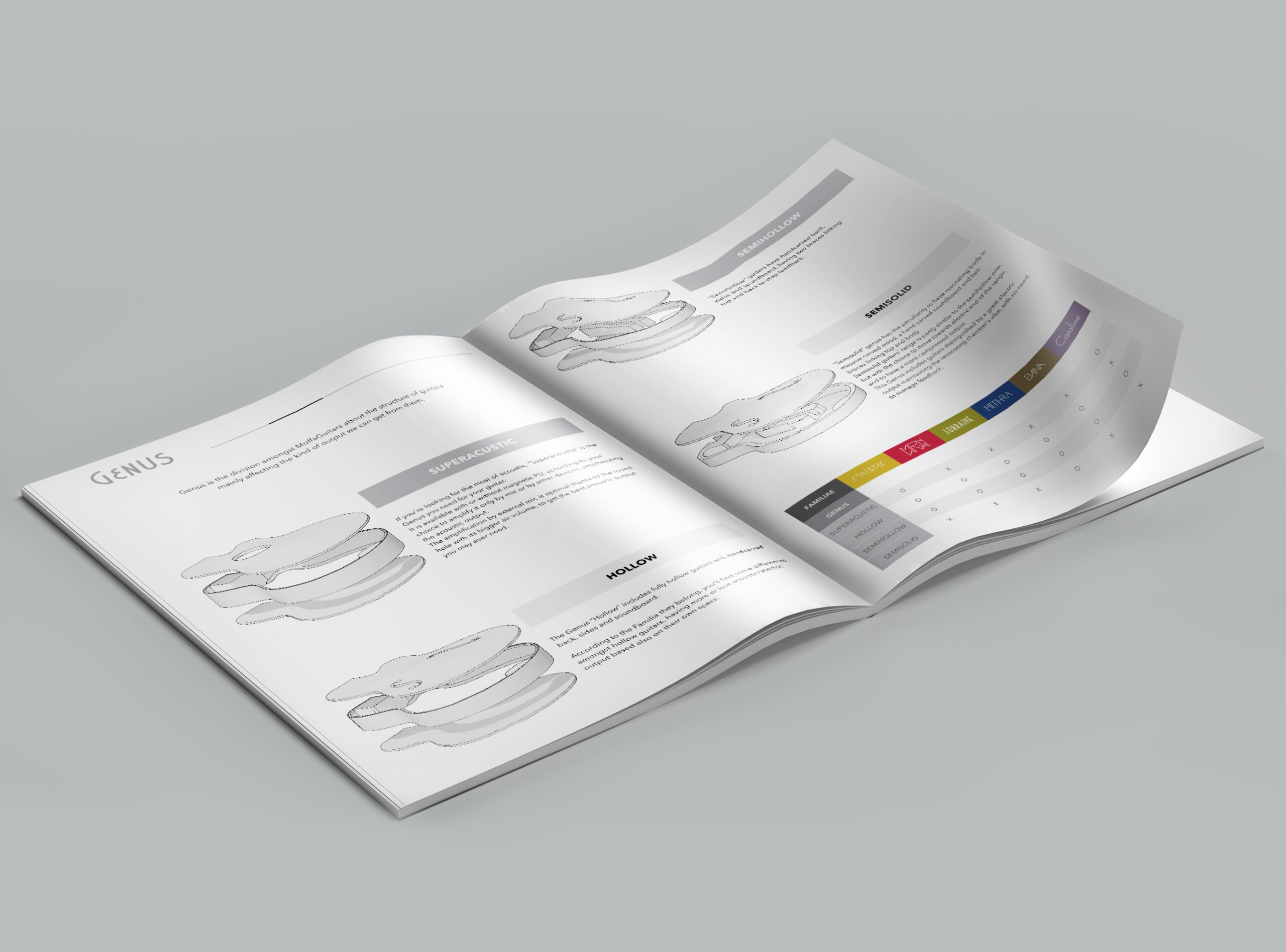 albedo realizzazione brand-identity moffa guitars buyers guide